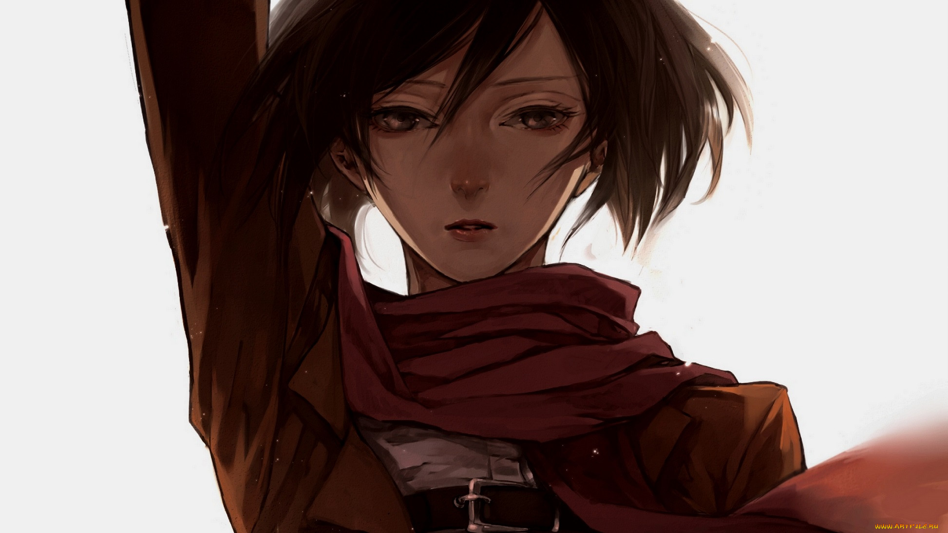 , shingeki no kyojin, , , , mikasa, ackerman